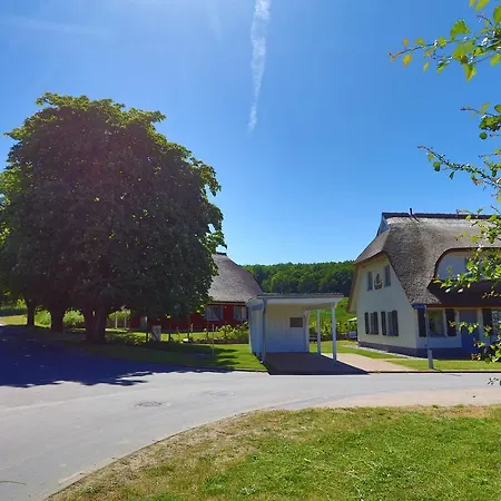 Neu Reet Svantevit Holiday home Lohme